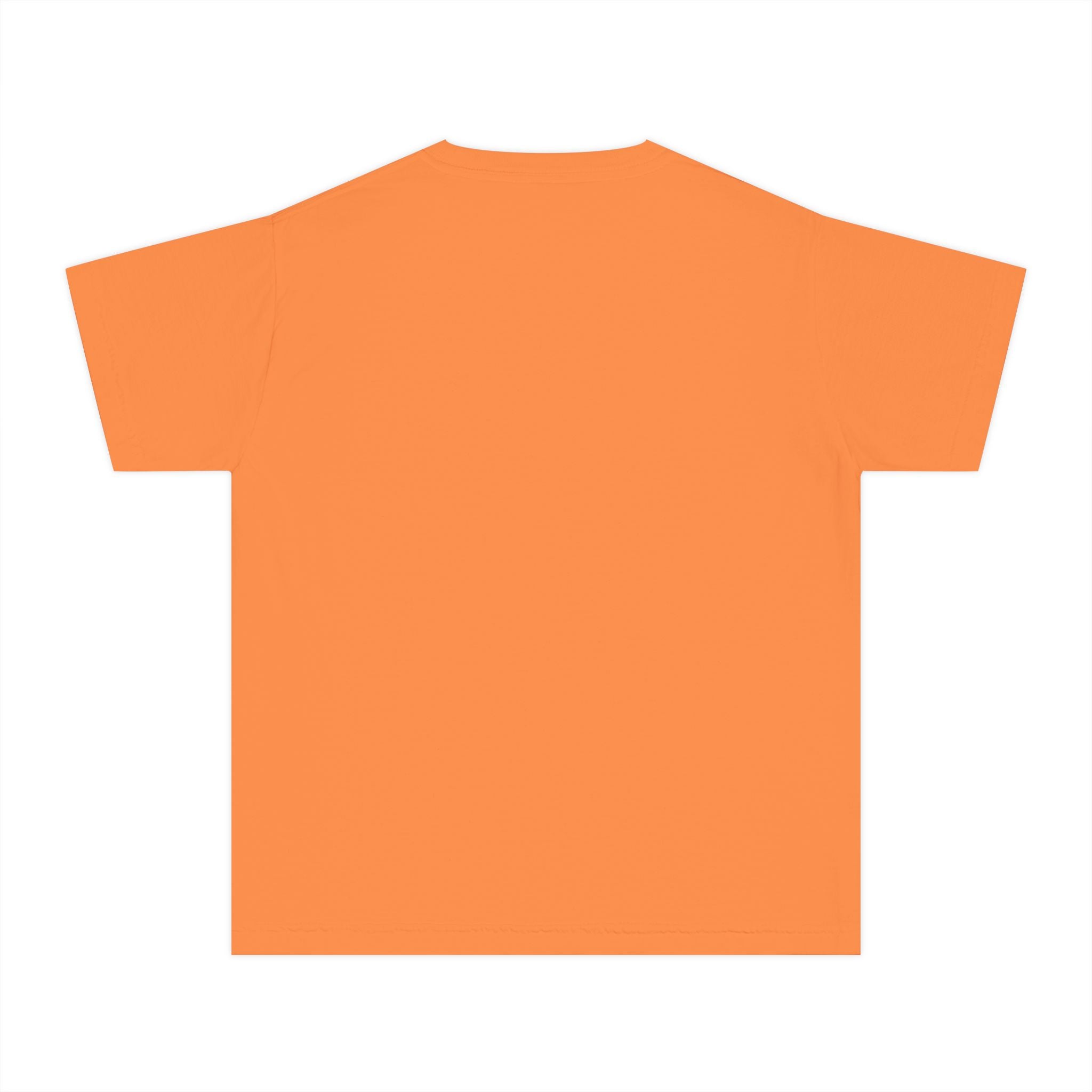 Empowerment Youth Tee (Ahnye's Melanin Collection) - Smart, Creative, Fearless, Beautiful, Gift for Kids, Inspirational Apparel, Back to School, Birthday, [...]