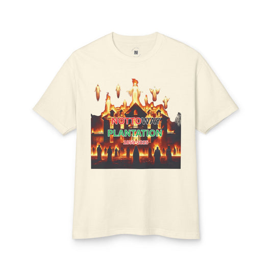 T-Shirt - The Nottoway Plantation Up in Flames Freedom Design (Social issues and Politics)